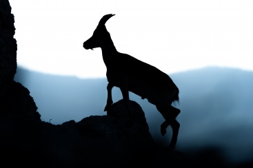 Fotografia /Galeria/2023/8/212272_134068/2_M1.jpg