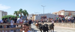 Vall d'Alba se convierte en la capital taurina provincial