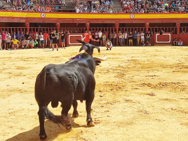 Fotografia /Galeria/2023/8/212281_134073/3_M1.jpg