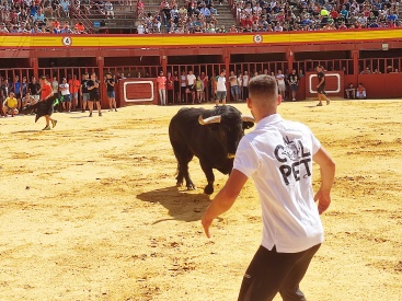 Fotografia /Galeria/2023/8/212281_134073/4_M1.jpg