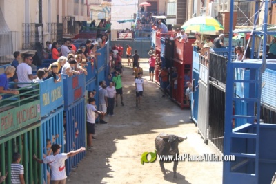 Toros entre caracol y caracol en las Fiestas de Alcora