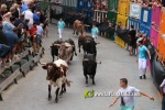 Borriana arrenca les exhibicions taurines amb la tancada de Madro?iz, r?pid i net