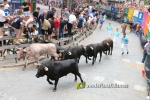 Borriana arrenca les exhibicions taurines amb la tancada de Madro?iz, r?pid i net