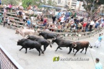 Borriana arrenca les exhibicions taurines amb la tancada de Madro?iz, r?pid i net
