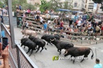 Borriana arrenca les exhibicions taurines amb la tancada de Madro?iz, r?pid i net