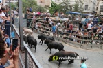 Borriana arrenca les exhibicions taurines amb la tancada de Madro?iz, r?pid i net