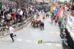 Borriana arrenca les exhibicions taurines amb la tancada de Madro?iz, r?pid i net