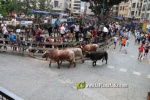 Borriana arrenca les exhibicions taurines amb la tancada de Madro?iz, r?pid i net