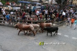 Borriana arrenca les exhibicions taurines amb la tancada de Madro?iz, r?pid i net