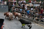Borriana arrenca les exhibicions taurines amb la tancada de Madro?iz, r?pid i net