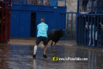 Borriana arrenca les exhibicions taurines amb la tancada de Madro?iz, r?pid i net
