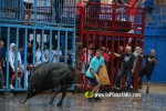 Borriana arrenca les exhibicions taurines amb la tancada de Madro?iz, r?pid i net