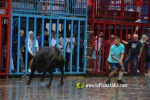 Borriana arrenca les exhibicions taurines amb la tancada de Madro?iz, r?pid i net