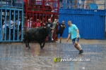 Borriana arrenca les exhibicions taurines amb la tancada de Madro?iz, r?pid i net
