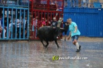 Borriana arrenca les exhibicions taurines amb la tancada de Madro?iz, r?pid i net