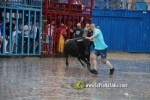 Borriana arrenca les exhibicions taurines amb la tancada de Madro?iz, r?pid i net