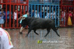 Borriana arrenca les exhibicions taurines amb la tancada de Madro?iz, r?pid i net