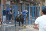 Borriana arrenca les exhibicions taurines amb la tancada de Madro?iz, r?pid i net