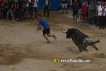 toros miseric?rdia 2023 Domingo
