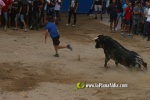toros miseric?rdia 2023 Domingo