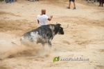 toros miseric?rdia 2023 Domingo