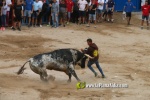 toros miseric?rdia 2023 Domingo