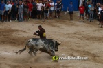 toros miseric?rdia 2023 Domingo