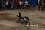 toros miseric?rdia 2023 Domingo