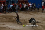 toros miseric?rdia 2023 Domingo