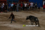 toros miseric?rdia 2023 Domingo