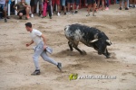 toros miseric?rdia 2023 Domingo