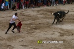 toros miseric?rdia 2023 Domingo