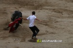 toros miseric?rdia 2023 Domingo