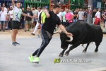 toros miseric?rdia 2023 Domingo