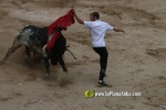 toros miseric?rdia 2023 Domingo