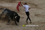 toros miseric?rdia 2023 Domingo