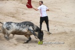 toros miseric?rdia 2023 Domingo