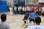 toros miseric?rdia 2023 Domingo
