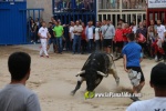 toros miseric?rdia 2023 Domingo