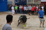 toros miseric?rdia 2023 Domingo