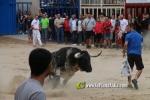 toros miseric?rdia 2023 Domingo