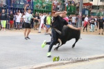 toros miseric?rdia 2023 Domingo