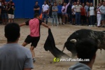 toros miseric?rdia 2023 Domingo
