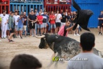 toros miseric?rdia 2023 Domingo