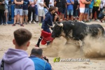 toros miseric?rdia 2023 Domingo
