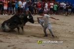toros miseric?rdia 2023 Domingo