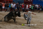 toros miseric?rdia 2023 Domingo