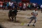 toros miseric?rdia 2023 Domingo