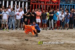 toros miseric?rdia 2023 Domingo