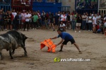 toros miseric?rdia 2023 Domingo